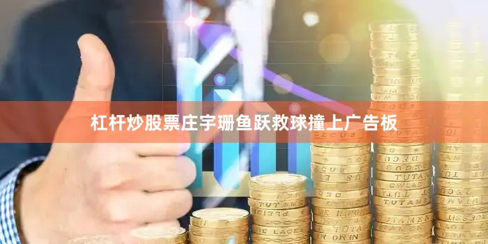 杠杆炒股票庄宇珊鱼跃救球撞上广告板