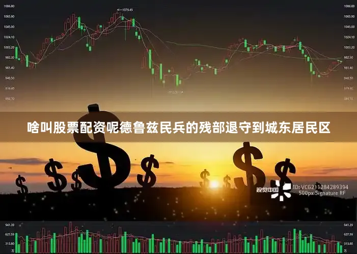 啥叫股票配资呢德鲁兹民兵的残部退守到城东居民区